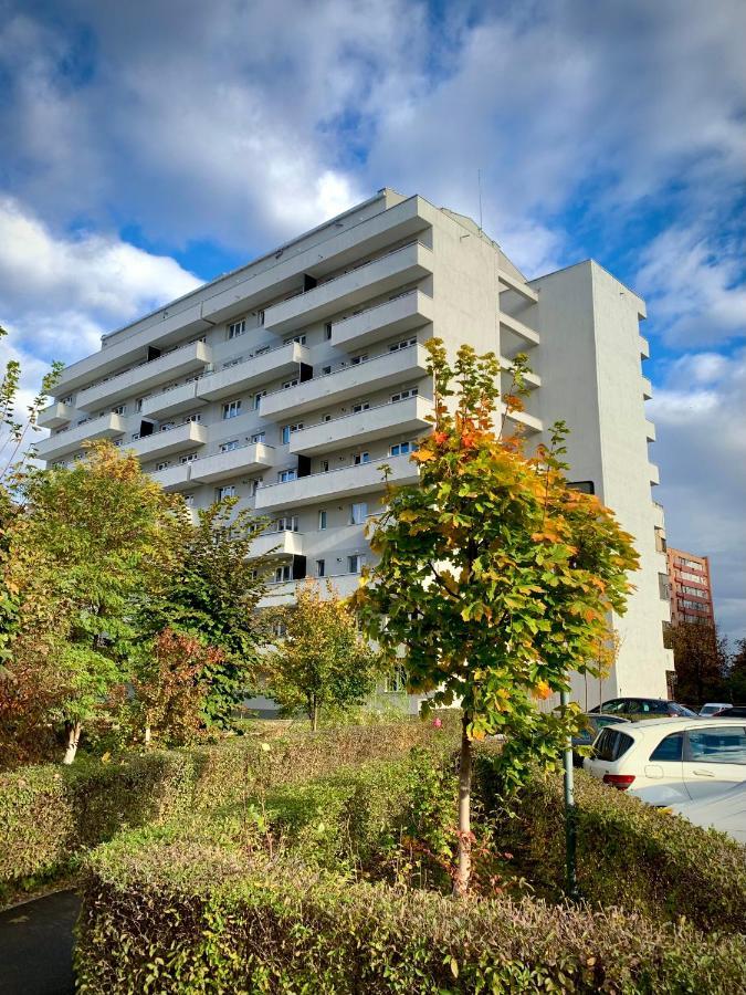 Blue Mountain Residence Braşov Exteriör bild